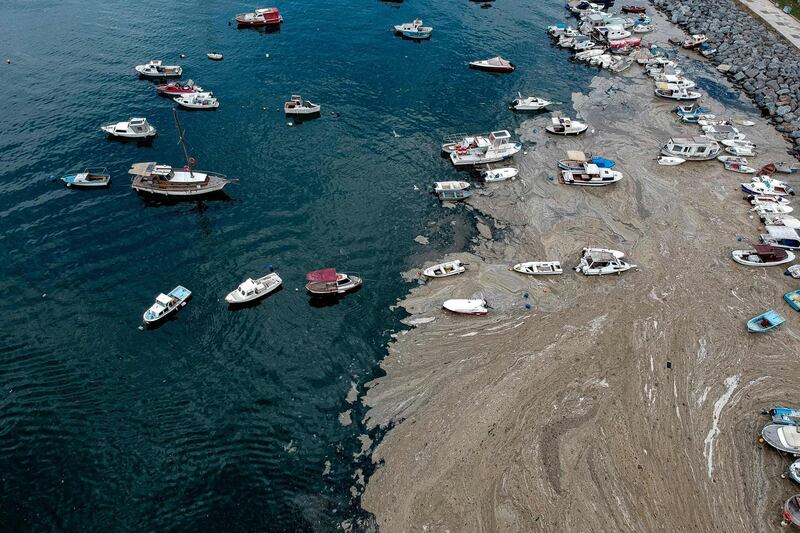 Sea snot poses a threat to the fishing industry and the environment, marine biologists said. AFP