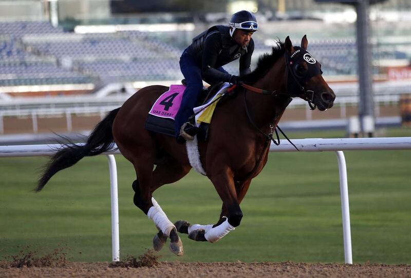 A jockey rides Frank Conversation, a racehorse from the USA trained by Doug O’neill, on the track at the Meydan Racecourse during preparations for the Dubai World Cup 2016 in Dubai, United Arab Emirates, 23 March 2016. The 21st edition of the Dubai World Cup will take place on 26 March 2016.  EPA/ALI HAIDER