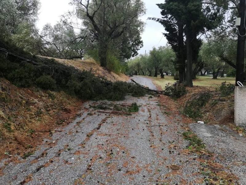 View of a tree knocked down by Medicane (Mediterranean hurricane) Ianos on Zakynthos island, Greece. A rare hurricane-like cyclone in the eastern Mediterranean, a so-called 'Medicane', named Ianos is forecasted to make landfall in Kefalonia, Ithaca and Zakynthos with winds reaching hurricane-force Category 1.  EPA