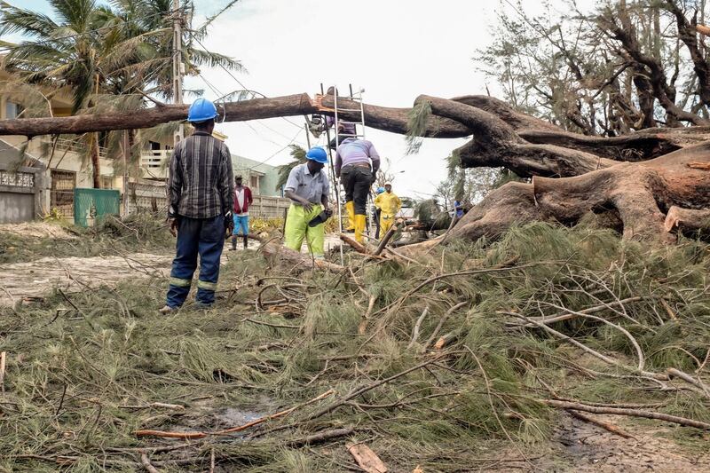 Public workers cut a fallen tree in Beira City, Beira Province, Mozambique. EPA