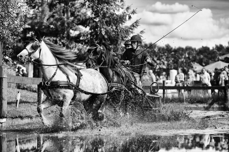 Equestrians join in with Aangespannen Day in Gilze, the largest horse and pony carriage driving event in the Netherlands. Dean Mouhtaropoulos / Getty Images