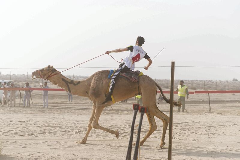 DUBAI, UNITED ARAB EMIRATES - DEC 3, 2017


The third edition of the National Day Camel Marathon kicks off. Organised by the Hamdan Bin Mohammed Heritage Centre, HHC, in co-operation with the Dubai Camel Racing Club, celebrates UAE’s 46th National Day, at Dubai International Endurance City, Saih Al Salam.

(Photo by Reem Mohammed/The National)

Reporter:  ANNA ZACHARIAS
Section: NA