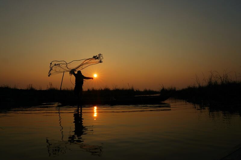 It has also affected the number of fish in the marshes