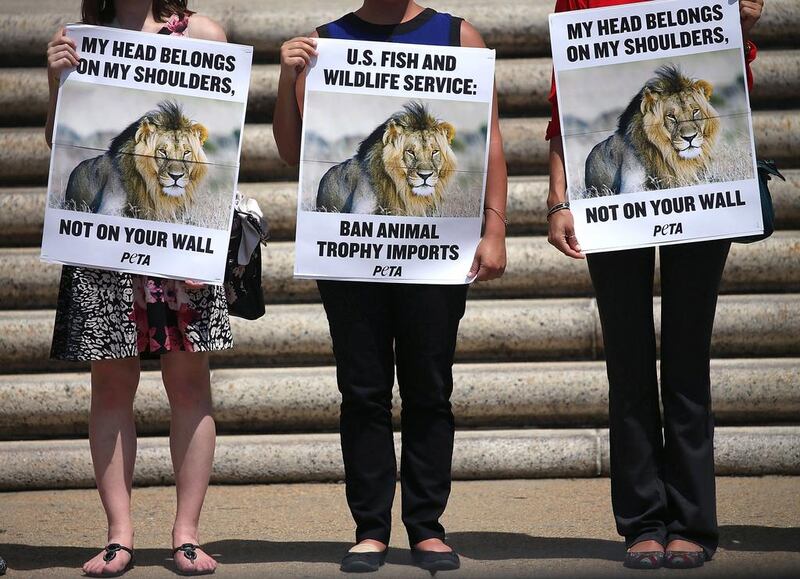 A protest in Washington demanding the US take action for the death of Cecil the lion. Mark Wilson / Getty Images / AFP