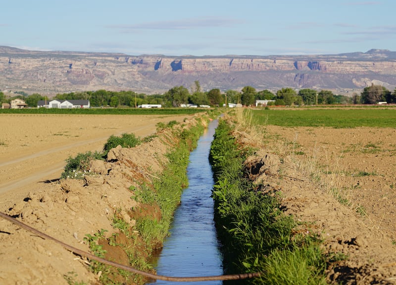 An irrigation canal runs through a farm in Grand Junction, Colorado. The area is famous for its cattle and produce.