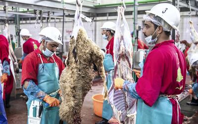 Abu Dhabi, United Arab Emirates, August 11, 2019.   Eid Al Adha at the Mina Livestock Market and Abattoir.--  Butchers properly clean the fresh livestock for Eid Al Adha celebrations.
Victor Besa/The National
Section:  NA
Reporter: John Dennehy