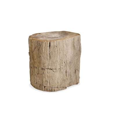 Opt for curved furniture in natural textures, such as this petrified wood side table from Interiors