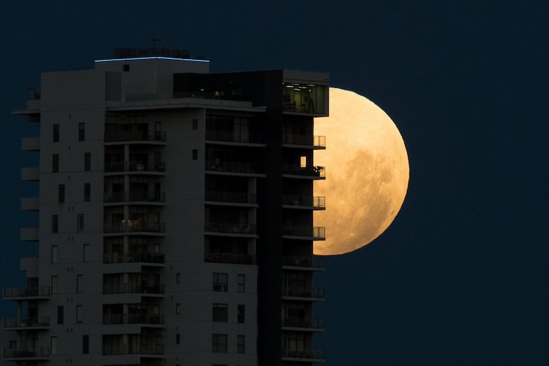 epa06487715 A super blue blood moon rises over the city of Perth in Western Australia, 31 January 2018. Enthusiasts have been waiting 150 years to see the triple lunar event where a total lunar eclipse will turn the moon a brooding, dark red, coinciding with both a super moon and a rare blue moon. This is the last one in a series of three consecutive 'Supermoons', dubbed the 'Supermoon Trilogy'.  The previous 'Supermoons' appeared on 03 December 2017 and on 01 January 2018. A 'Supermoon' commonly is described as a full moon at its closest distance to the earth with the moon appearing larger and brighter than usual.  EPA/RICHARD WAINWRIGHT AUSTRALIA AND NEW ZEALAND OUT