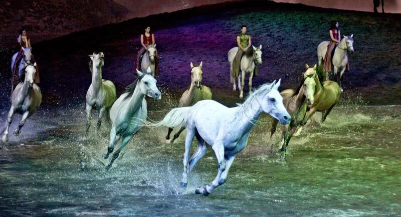 Eight horses step elegantly into the shallow pool for a precisely choreographed equine ballet, and create quite a splash — enough to drench members of the audience in the front row, who seek towels afterwards. Courtesy: Abu Dhabi Tourism & Culture Authority