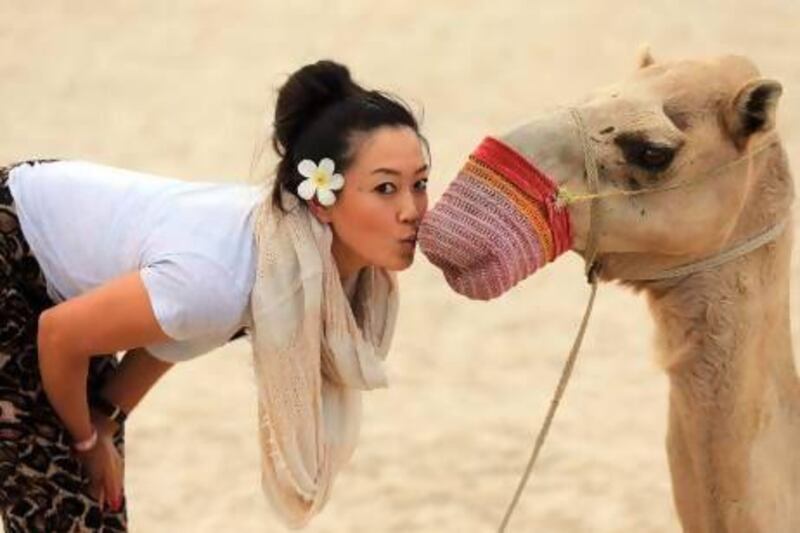 DUBAI, UNITED ARAB EMIRATES - DECEMBER 02: Michelle Wie of the USA comes up close with a camel on the beach at the Jebel Ali Golf Resort and Spa as a preview for the 2012 Omega Dubai Ladies Masters on December 2, 2012 in Dubai, United Arab Emirates. (Photo by David Cannon/Getty Images) *** Local Caption *** 157445200.jpg