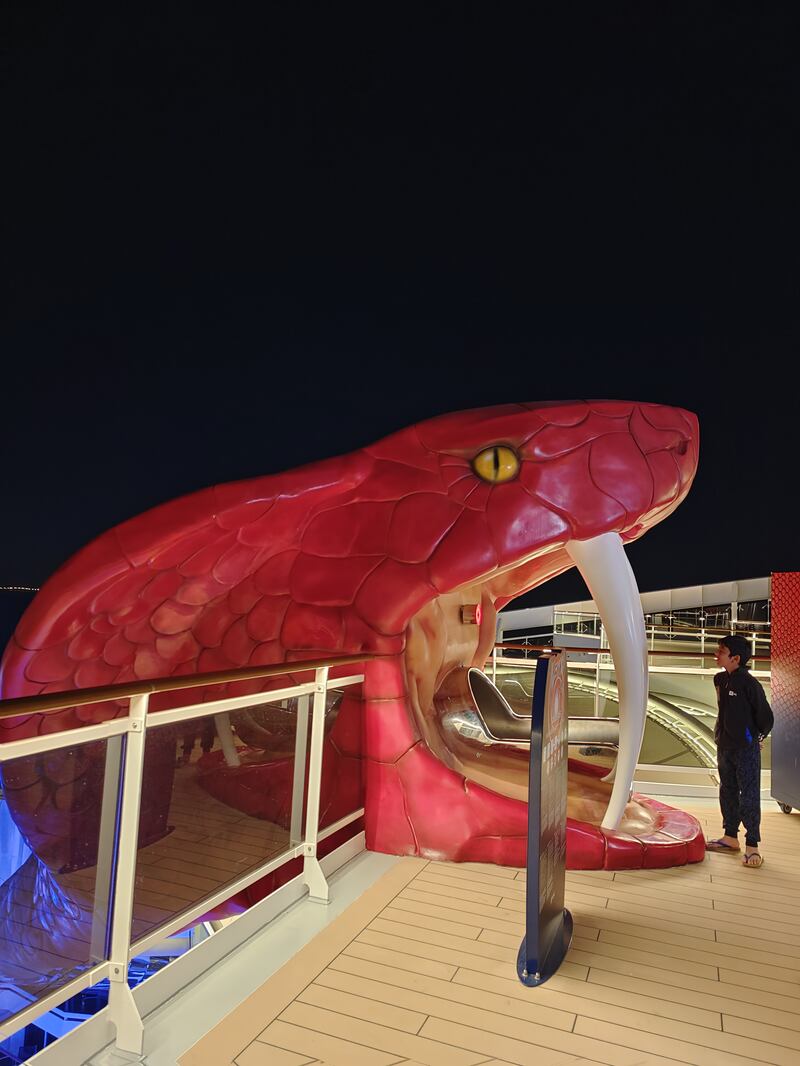 Siddharth looks into the mouth of a giant stainless steel snake head, the start of a spiral 11-deck slide