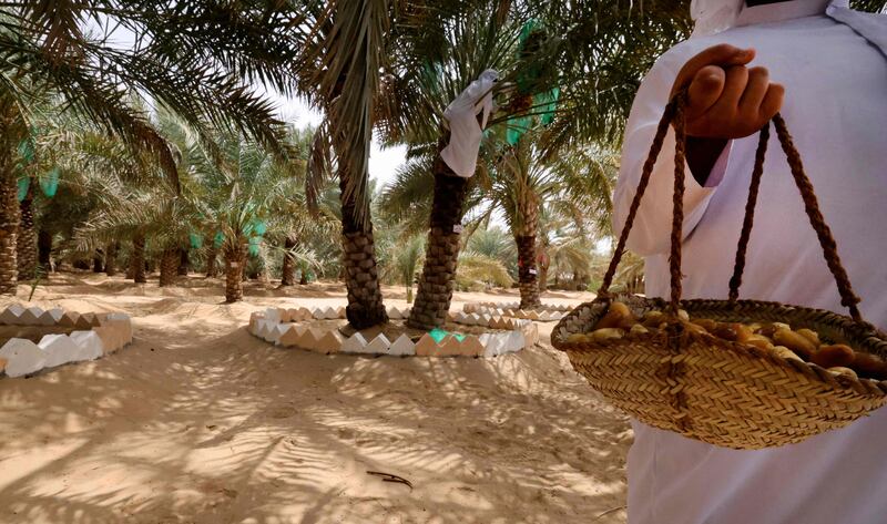 The Liwa Date Festival includes competitions for farmers. It introduces them to modern agricultural practices and fosters the exchange of expertise among producers.