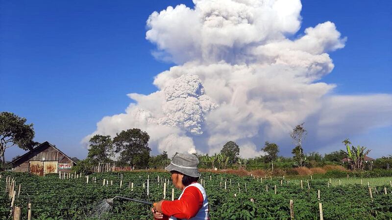 A farmer in Karo, North Sumatra, continues to work as Mount Sinabung spews ash into the sky. AFP