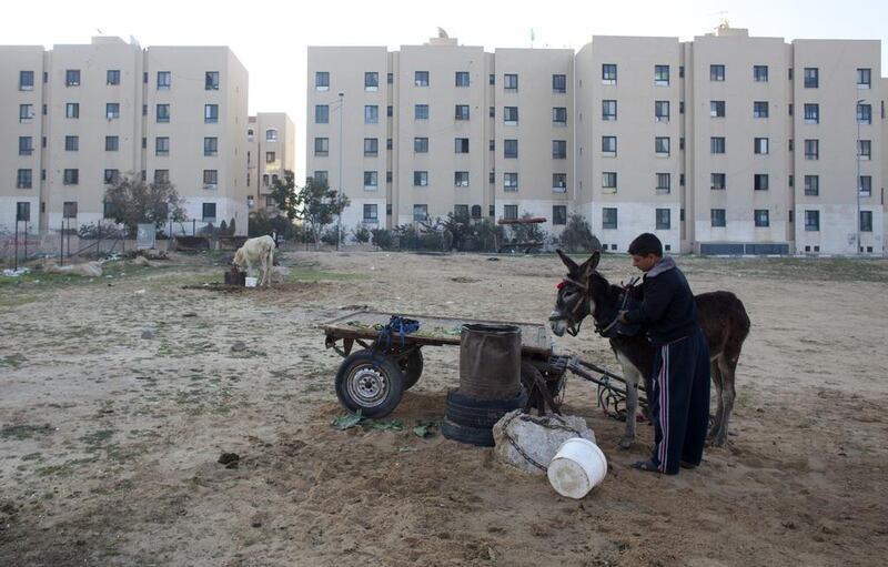 Salah abu Safi,16, as he prepares his donkey and cart at Sheik Zayed City where his family lives in the Gaza Strip. Heidi Levine for The National