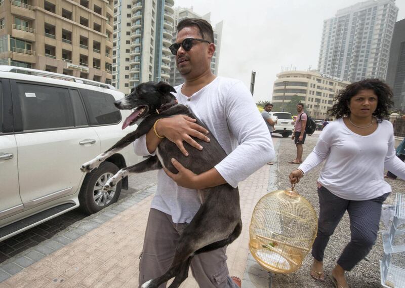 DUBAI, UNITED ARAB EMIRATES 13 MAY 2018 -Residence saving tehir pets from the  burning Zen Tower  with his dog in Marina, Dubai. Leslie Pableo for The National