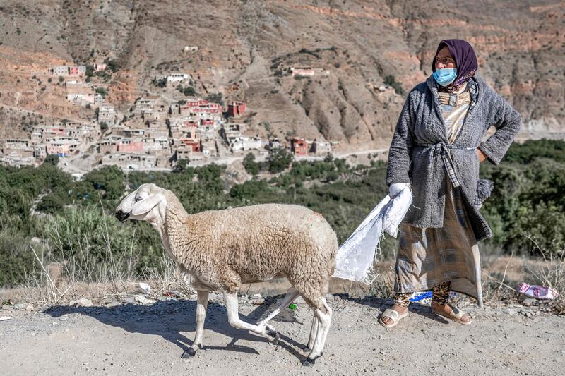 A displaced earthquake survivor stands next to a sheep provided to her by volunteers. AFP