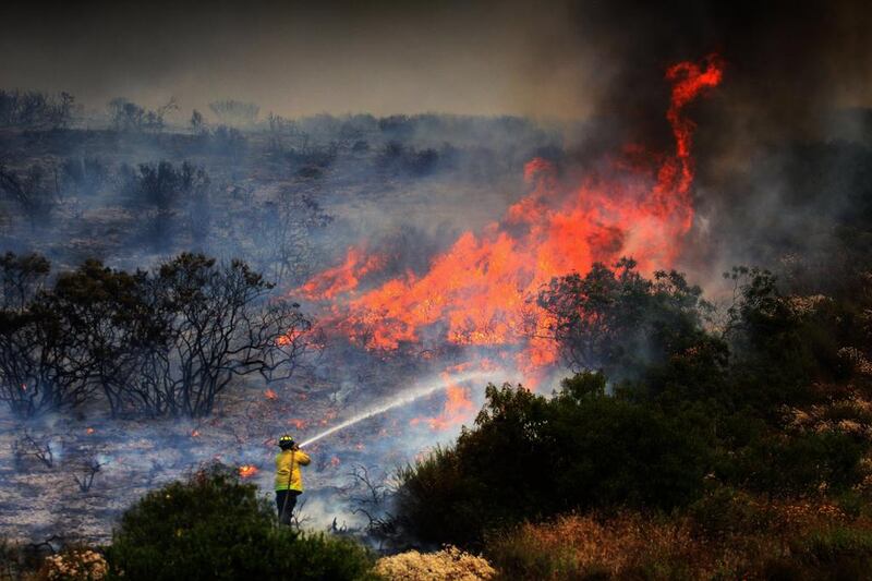 A firefighter tries to extinguish a forest fire in Ensenada, Mexico. Alejandro Zepeda / EPA
