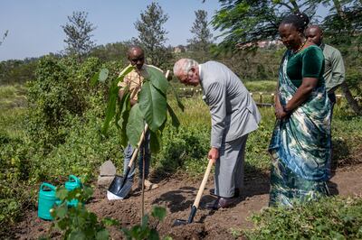 Prince Charles plants a tree while visiting Rwanda in June. AP