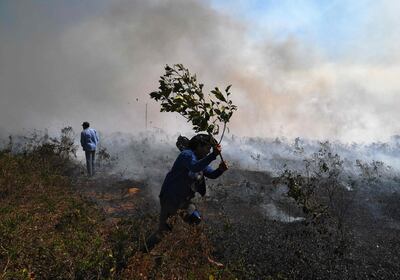 (FILES) In this file photo taken on August 10, 2020, farm workers try to put out an illegal fire which burned part of the Amazon rainforest reserve and was spreading to their land north of Sinop, in Mato Grosso State, Brazil.  Rampant fires in the Amazon are "poisoning the air" of the world's biggest rainforest, causing a sharp rise in respiratory emergencies in a region already hit hard by Covid-19, said a study published Wednesday. / AFP / Carl DE SOUZA
