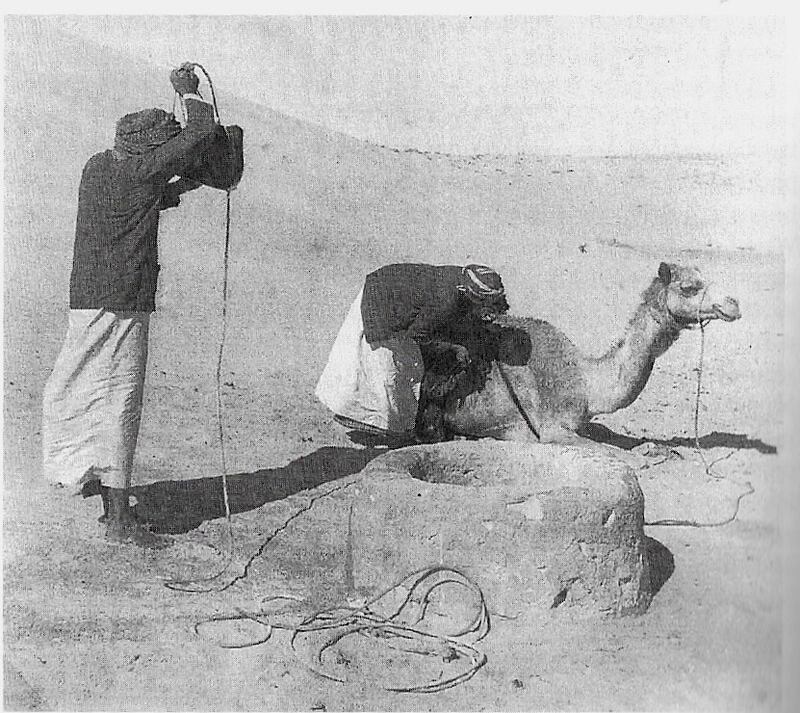 Two men with a camel drawing water from a desert well, somewhere in the interior of what would become the UAE in the mid 1950s
