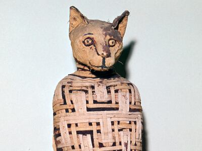 Room 62 of the British Museum is an emporium of sarcophagi, including a mummified cat that seemingly watches you pass. Getty Images