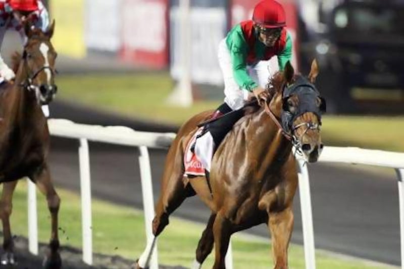 The immediate future of Dubai World Cup winner Animal Kingdom is uncertain as jockey Craig Williams is hoping to race the horse in June. Sammy Dallal / The National