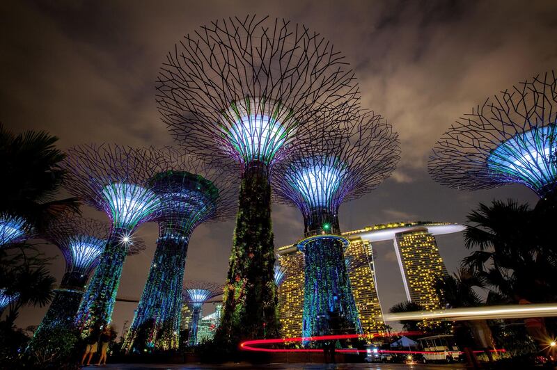 SINGAPORE - JULY 02:  The Supertree Grove is illuminated during the Gardens by the Bay, Light and Sound show on July 2, 2012 in Singapore. The free nightly light and sound display which sees the massive man made Supertrees lit up with spotlights and neon lights officially opened tonight in the 54 hectare south section of the Gardens by the Bay. The Gardens by the Bay was opened on June 29 and features over 220,000 plants,  the vertical gradens of the Supertrees, the Flower Dome, Cloud Forest and a Skywalk.  (Photo by Chris McGrath/Getty Images)