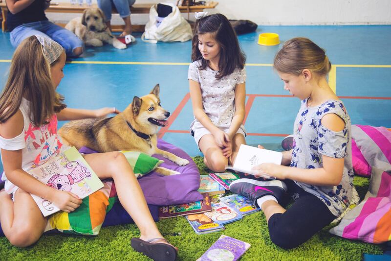 Reading dogs are calm and able to sit in one place. Courtesy Reading Dogs UAE