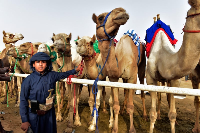 The competition has contributed to Saudi Arabia being one of the top destinations in the world when it comes to camel sports.