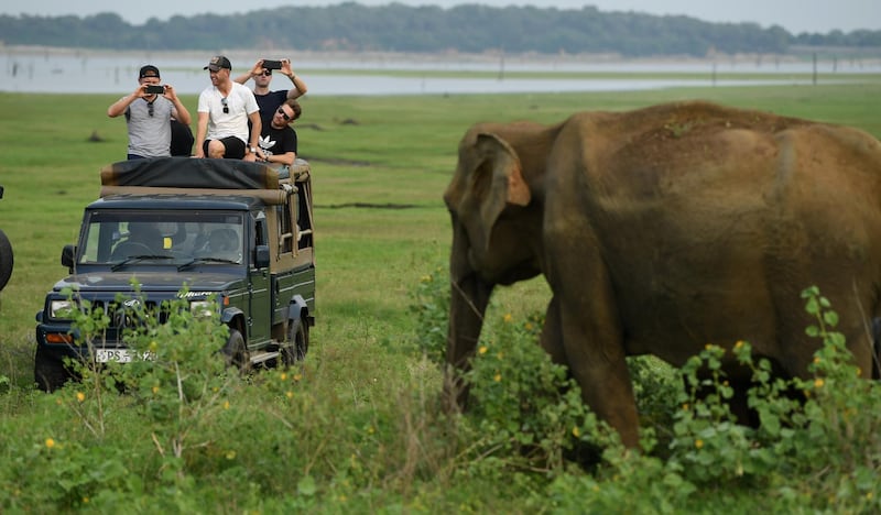 Liam Dawson, Ben Stokes, Olly Stone, Chris Woakes and Jonathan Bairstow of England take part in an elephant safari at Kaudulla National Park in Dambulla. Getty Images