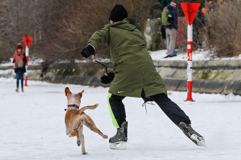 A man plays catch with his dog as he ice skates on the frozen Landwehr Canal in Berlin's Kreuzberg district. AFP