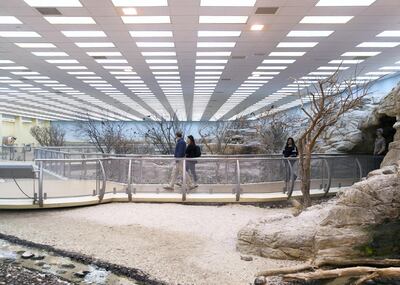 SHARJAH, UNITED ARAB EMIRATES. 11 FEBRUARY 2019. 
Cultural Diplomacy Tour for visiting dignitaries at Arabia's Wildlife Center in Sharjah.

(Photo: Reem Mohammed/The National)

Reporter:
Section: