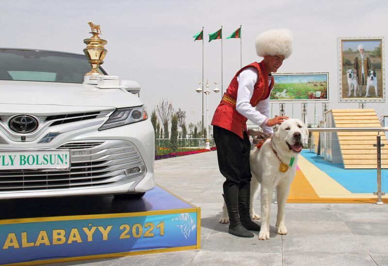 A handler pets a Turkmen shepherd dog. Reuters