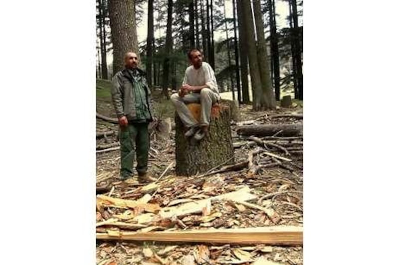 Mustapha Hafid, left, a state forestry agent, and Mustapha Allaoui, a local conservationist, survey the remains of a cedar grove in the Idikel forest that had been illegally cut down.