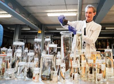 James Maclaine, senior curator of fish at the Natural History Museum in London. PA 