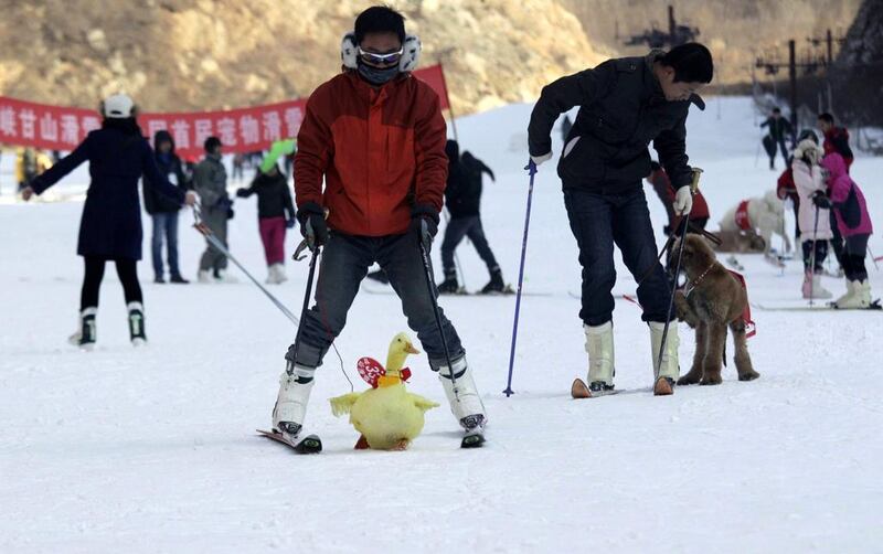 Skiing has become more popular in China in recent years, with a range of slopes opening across the country’s cold north, and it is bidding for the 2022 Winter Olympics.