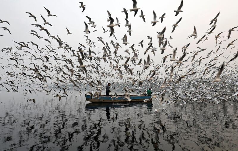 Men feed seagulls along the Yamuna River on a smoggy morning in New Delhi, India. Saumya Khandelwal / Reuters