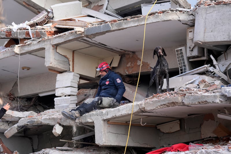 A rescuer with a sniffer dog searches in a destroyed building in Antakya, southern Turkey. AFP