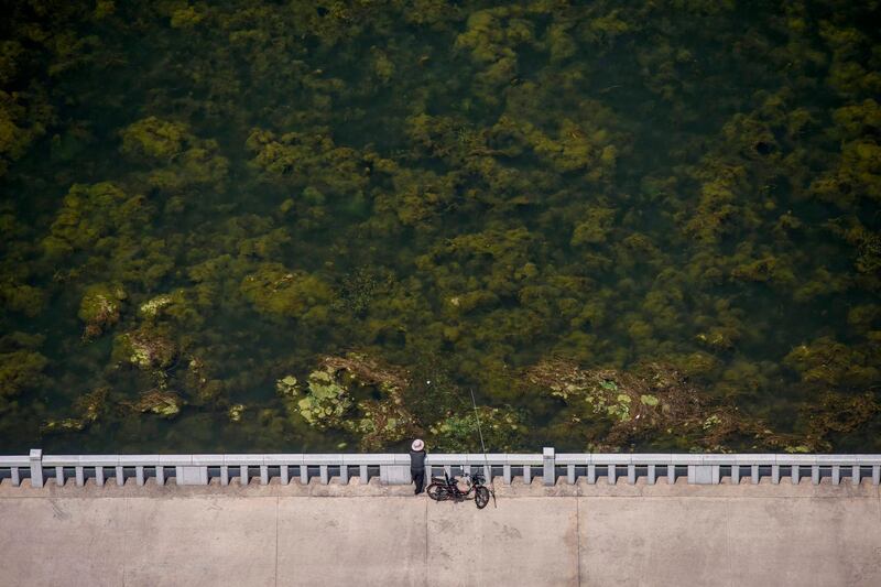 A fisherman stands on a bank of the Taedong river and a bloom of algae in Pyongyang. AFP