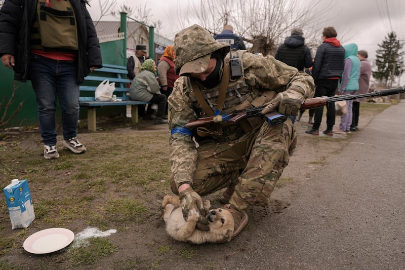 A Ukrainian soldier tries to convince a puppy to drink milk as residents wait for distribution of food products in Motyzhyn, Ukraine, which was until recently under the control of the Russian military. AP