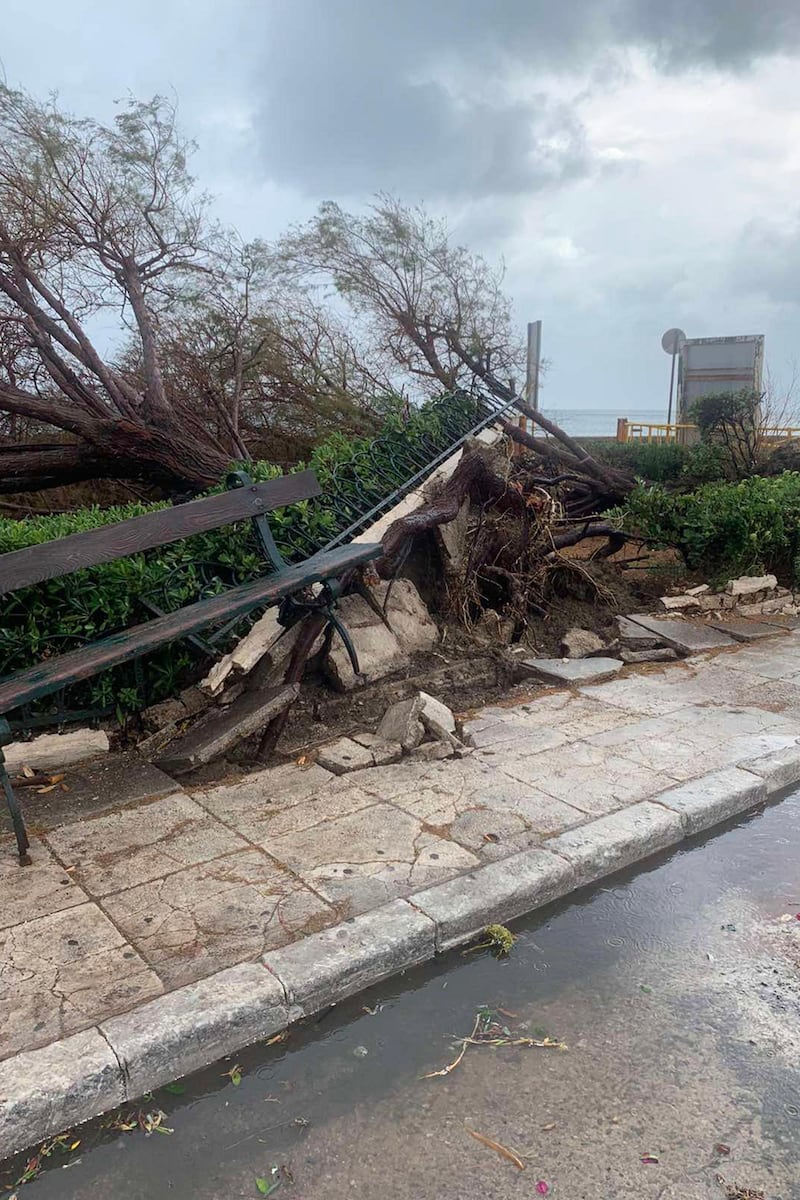View of a tree knocked down by Medicane (Mediterranean hurricane) Ianos on Zakynthos island, Greece.  A rare hurricane-like cyclone in the eastern Mediterranean, a so-called 'Medicane', named Ianos is forecasted to make landfall on Kefalonia, Ithaca and Zakynthos with winds reaching hurricane-force Category 1. EPA