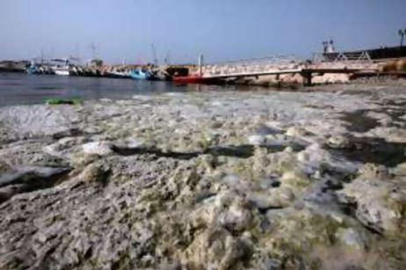 Foaming effluent pollutes the waters at the Dubai Offshore Sailing Club.