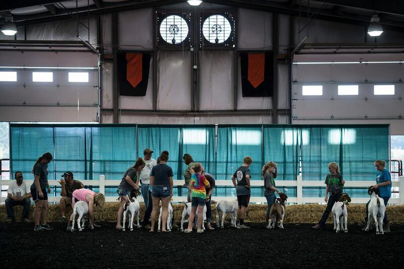 Children wait to show their competition goats during the Shenandoah County Fair in Woodstock, Virginia. Brendan Smialowski / AFP