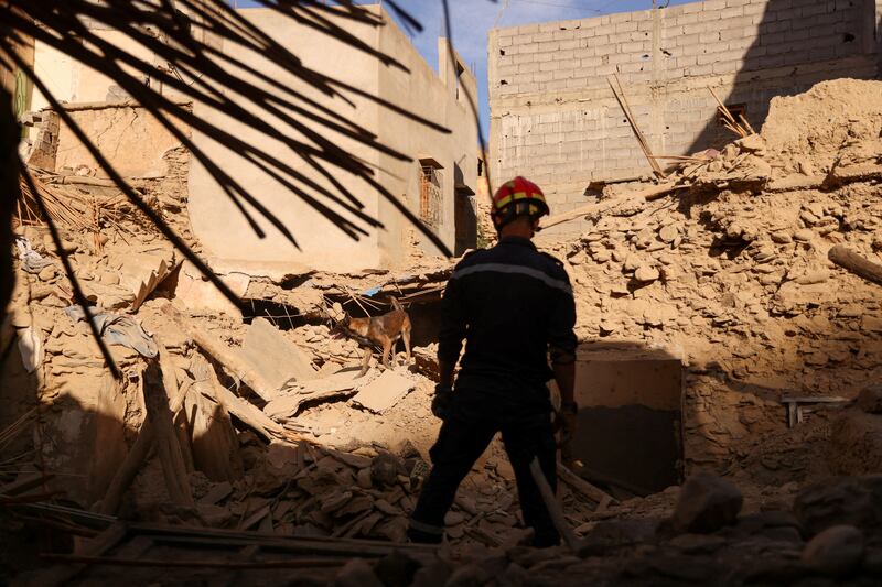 An emergency worker and a dog search for bodies in the rubble in Amizmiz, Morocco. Reuters