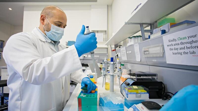 UAE researchers are exploring the possibility of using stem cells to repair damaged lung tissue in Covid-19 patients. Courtesy: Khalifa University