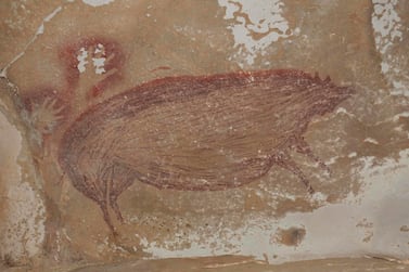 This undated handout photo shows a dated pig painting at Leang Tedongnge in Sulawesi, Indonesia. Archaeologists have discovered the world's oldest known cave painting: a life-sized picture of a wild pig that was made at least 45,500 years ago in Indonesia. The finding was described in the journal Science Advances on January 13, 2021, and also provides the earliest evidence of human settlement of the region. Co-author Maxime Aubert of Australia's Griffith University told AFP it was found on the island of Sulawesi in 2017 by doctoral student Basran Burhan, as part of surveys the team was carrying out with Indonesian authorities. - RESTRICTED TO EDITORIAL USE - MANDATORY CREDIT "AFP PHOTO /MAXIME AUBERT/GRIFFITH UNIVERSITY/HANDOUT" - NO MARKETING - NO ADVERTISING CAMPAIGNS - DISTRIBUTED AS A SERVICE TO CLIENTS / AFP / GRIFFITH UNIVERSITY / Maxime AUBERT / RESTRICTED TO EDITORIAL USE - MANDATORY CREDIT "AFP PHOTO /MAXIME AUBERT/GRIFFITH UNIVERSITY/HANDOUT" - NO MARKETING - NO ADVERTISING CAMPAIGNS - DISTRIBUTED AS A SERVICE TO CLIENTS