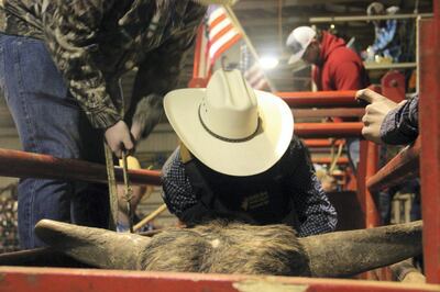 Riders must stay aboard the bull for eight seconds to return a score. Photo: Stephen Starr