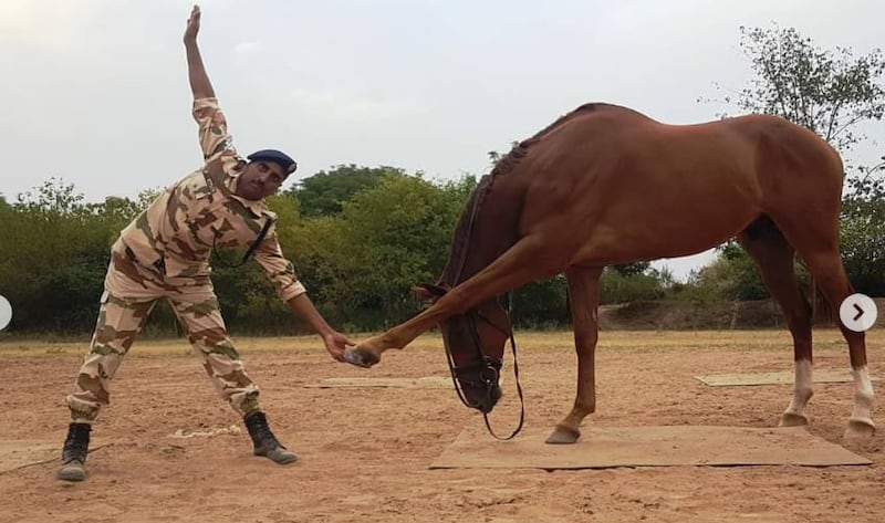 A ITBP troop in Panchkula performs yoga with one of their horses. Instagram / ITBP_Official