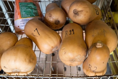 epa07000469 Single Butternut with their Rand price written on them for sale in a small convenience and food shop in the low income area of Masiphumelele, Cape Town, South Africa, 06 September 2018. Statistics South Africa has released Gross Domestic Product (GDP) figures for the second quarter of 2018 showing a contraction of 0,7 percent. A contraction over two quarters places South Africa in a technical recession. Consumers in the poorest areas are the worst affected as consumer prices rise in reaction to rising fuel prices and a weaker Rand.  EPA/NIC BOTHMA