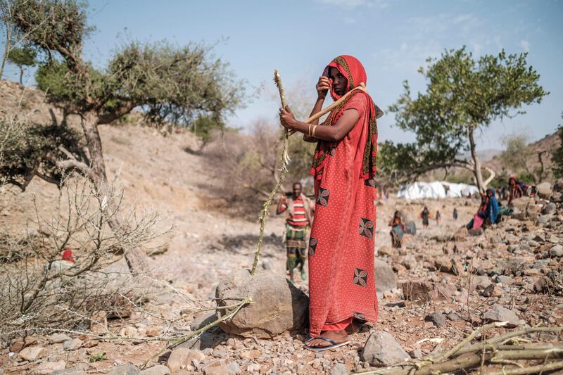 A new round of peace talks for Ethiopia led by the African Union's representative Olusegun Obasanjo is imminent, a senior US official has said. AFP